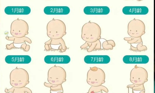 hiv吃药一年试纸能查到吗-HIV用药一年内监测CD4网 - 网站提供吃艾滋病药半年cd4下降十几小常识、感染艾滋病一年cd4一般多少